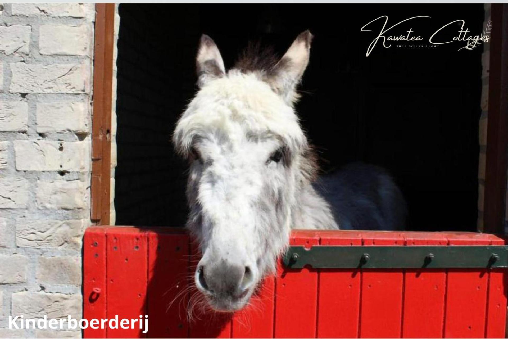 Forestview 'Queenstown' 6 Pers Very Child-Friendly By Kawatea Cottages (Adults Only) Ewijk Εξωτερικό φωτογραφία